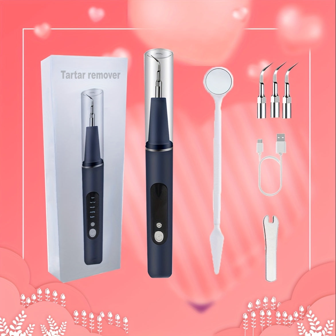 Valentines Day Electric Flosser Teeth Cleaner with 3 Replacement Heads and 5 Modes LED Light for Deep Cleaning Family Couples and Travel
